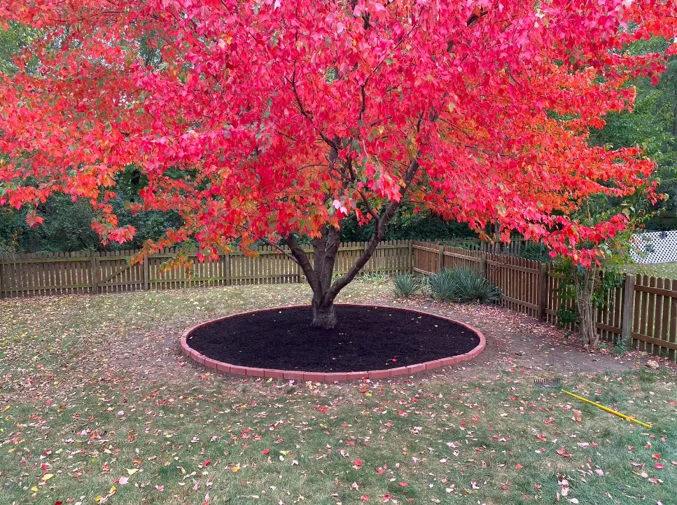 Trusted lawn care service in Lawrence, KS by Zerr Management