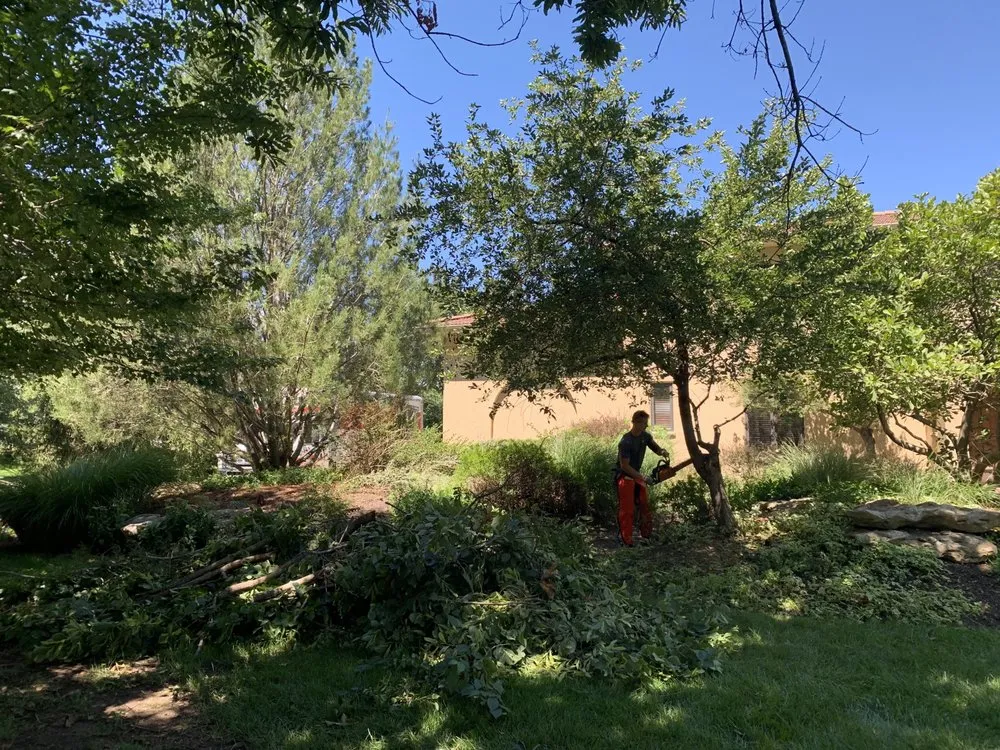 Expert outdoor landscaping in Lawrence, KS by Zerr Management