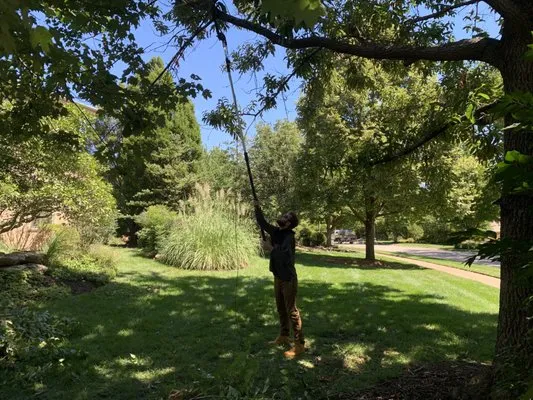 Zerr Management Logo