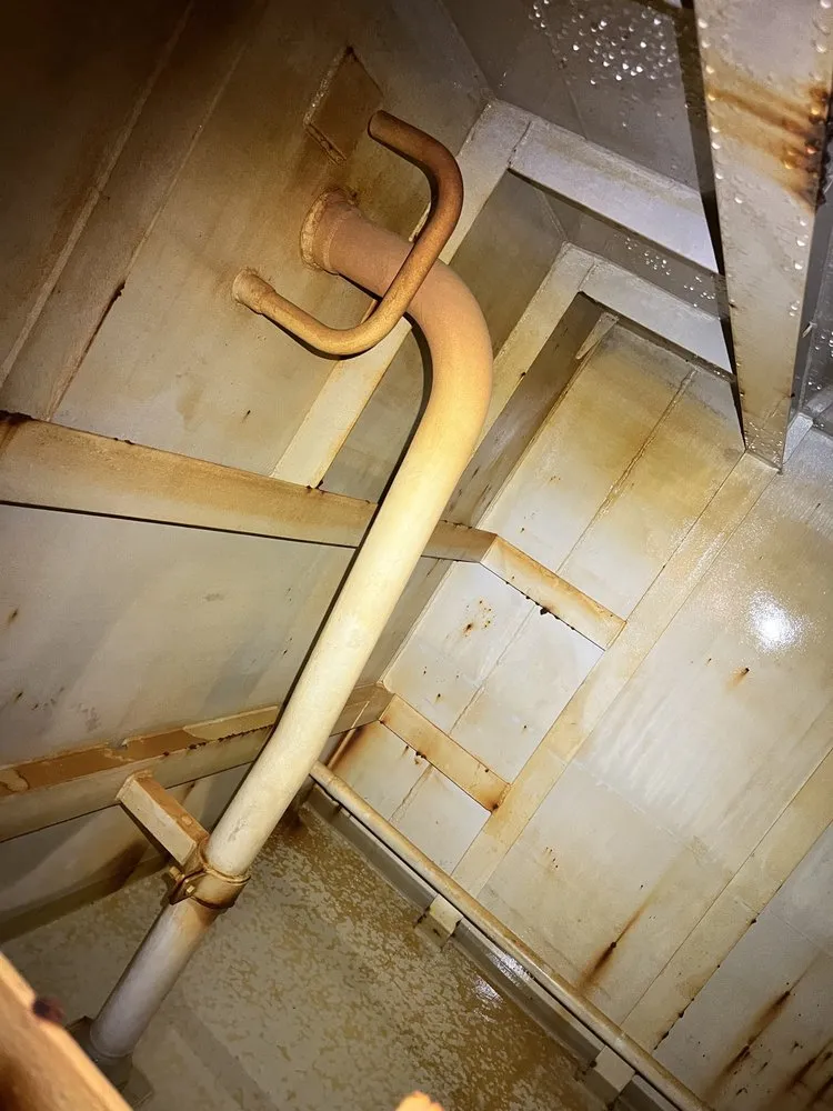 Custom yard cleanup service in Urban Honolulu, HI - Zesty cleaning