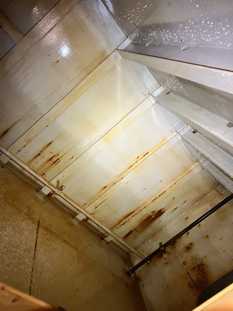 Reliable yard cleanup service near you in Urban Honolulu, HI by Zesty cleaning