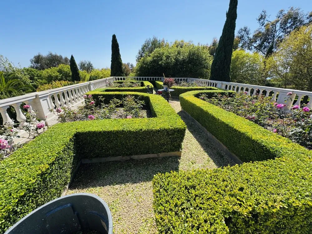 Expert yard cleanup service experts serving Calabasas, CA - Zeus Landscaping