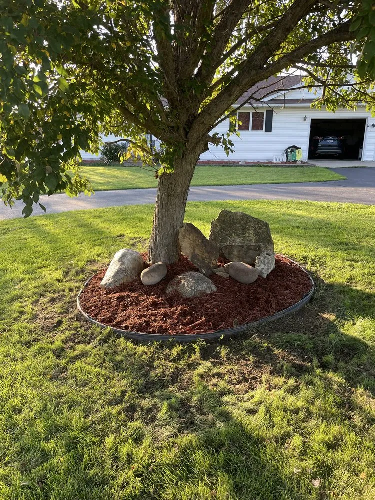 Local yard cleanup service for homes across Zumbro Falls, MN - ZF Lawn Care