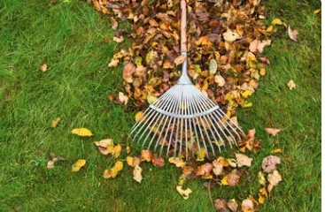 Expert landscaping services experts serving Monroe, WA - ZFC Landscaping