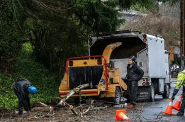 Affordable yard maintenance in Monroe, WA - ZFC Landscaping