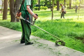 Custom yard cleanup service for homes in Monroe, WA by ZFC Landscaping