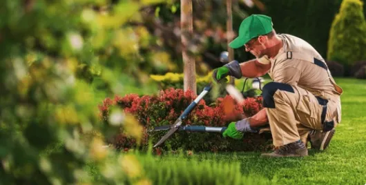 Custom yard cleanup service in Monroe, WA by ZFC Landscaping