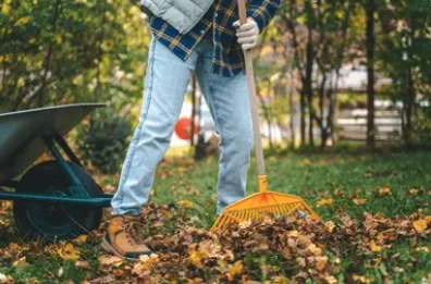 Local landscaping services experts serving Monroe, WA - ZFC Landscaping