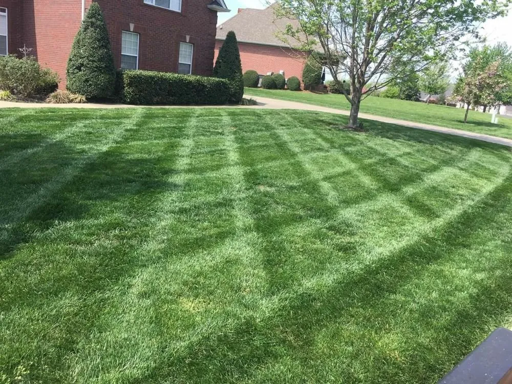 Professional yard cleanup service for beautiful yards in Castalian Springs, TN by ZG Lawn Care