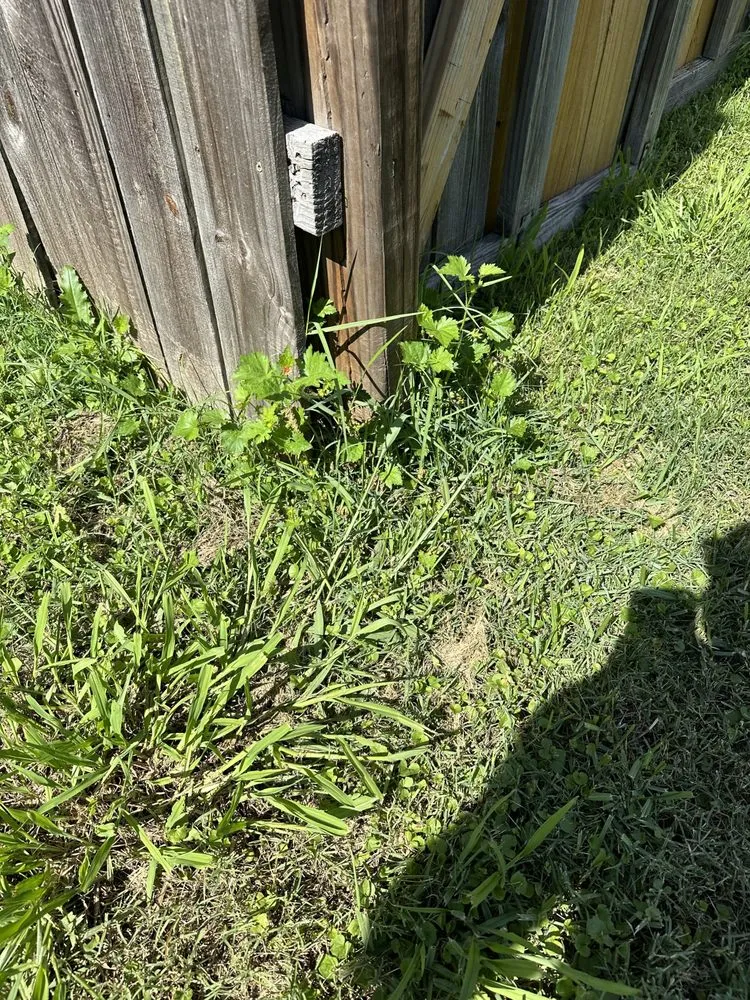 Top-rated outdoor landscaping for beautiful yards across Baton Rouge, LA - ZGN Properties