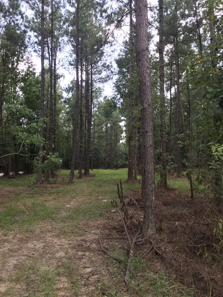 Expert residential landscaping for homes in Baton Rouge, LA by ZGN Properties