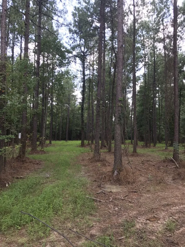 Local landscape installation experts serving Baton Rouge, LA - ZGN Properties