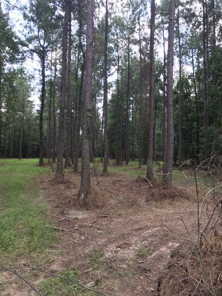 Expert landscaping services near you in Baton Rouge, LA by ZGN Properties