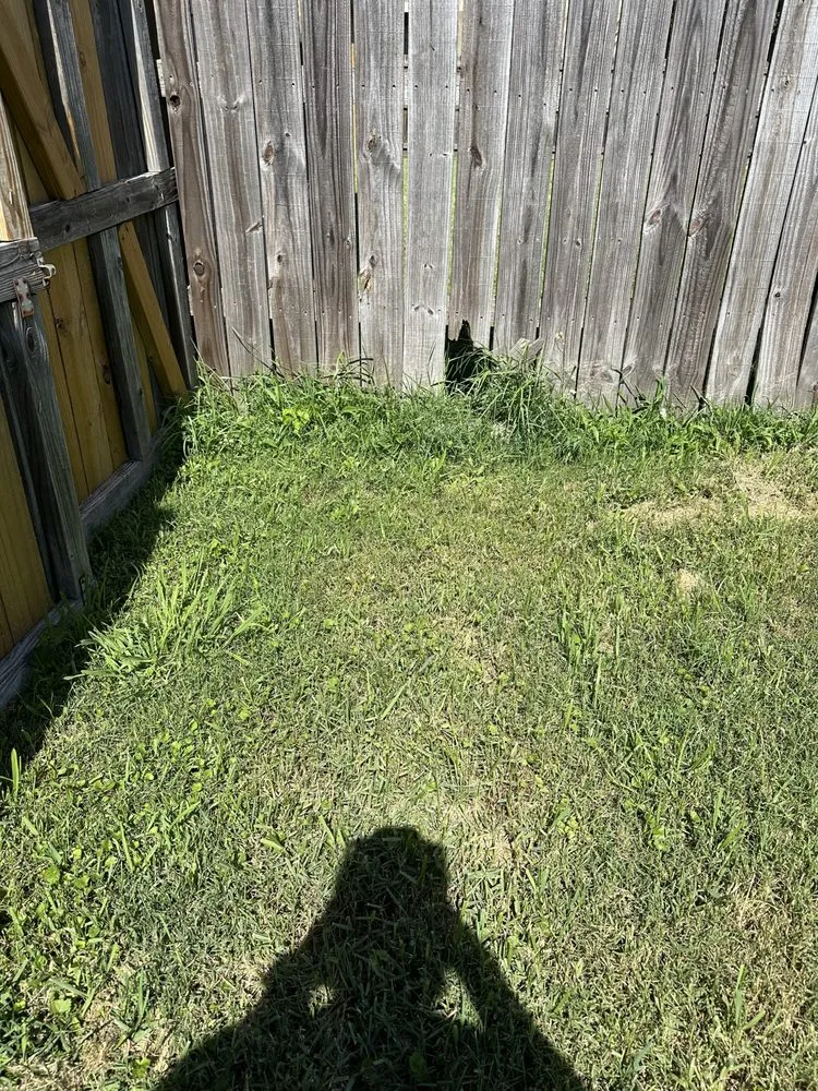 Local outdoor landscaping experts serving Baton Rouge, LA - ZGN Properties