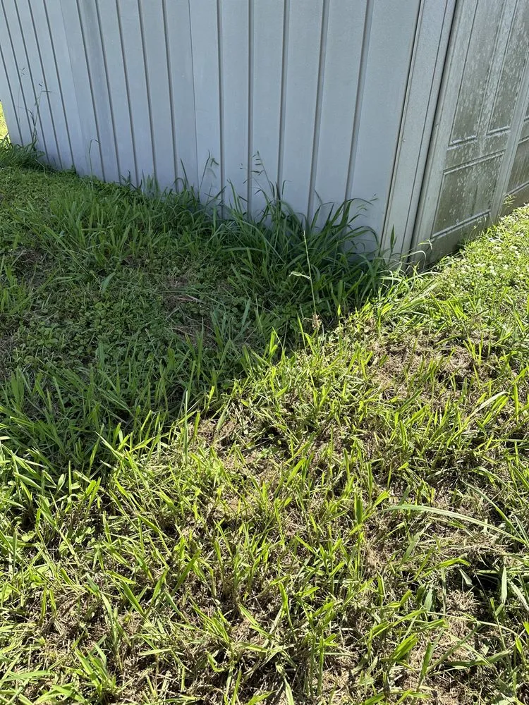 Reliable landscape installation experts serving Baton Rouge, LA - ZGN Properties