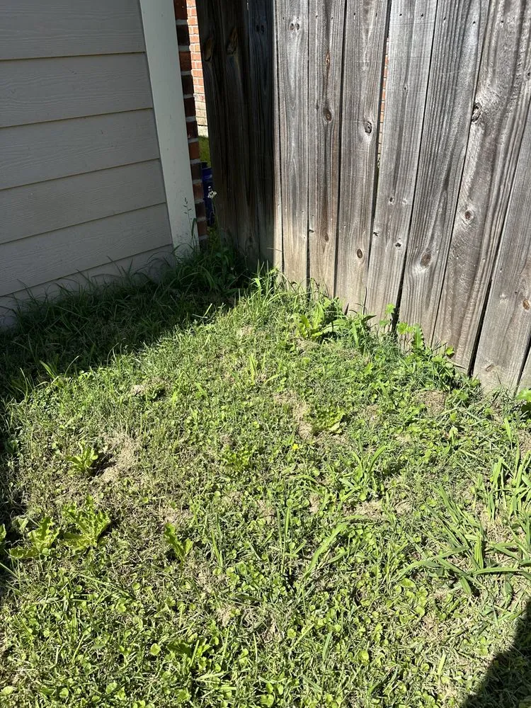 Trusted yard cleanup service in Baton Rouge, LA - ZGN Properties