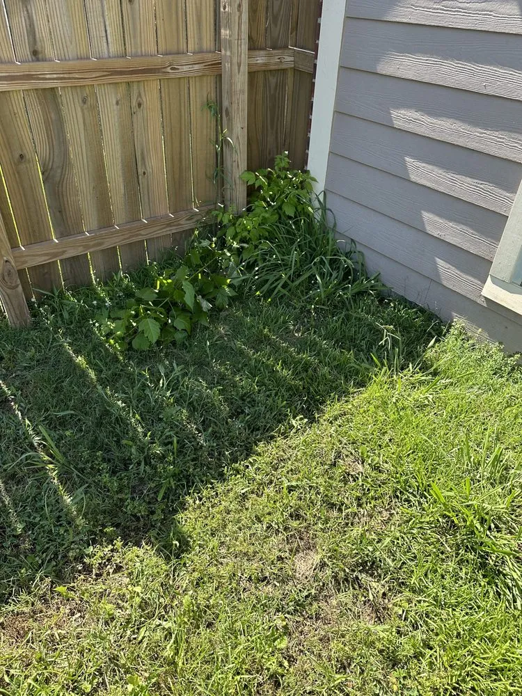 Professional residential landscaping for year-round maintenance across Baton Rouge, LA - ZGN Properties