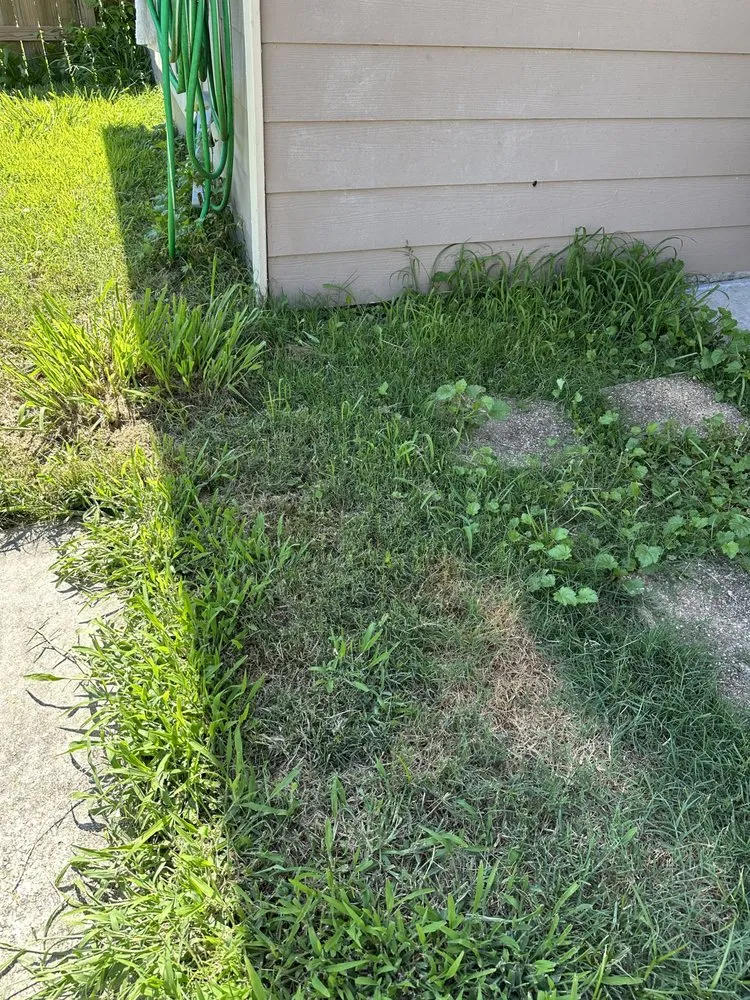 Expert outdoor landscaping in Baton Rouge, LA by ZGN Properties