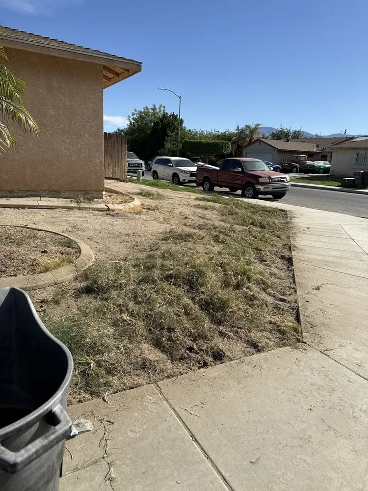 Affordable yard maintenance experts serving Mecca, CA - Zgza Landscaping