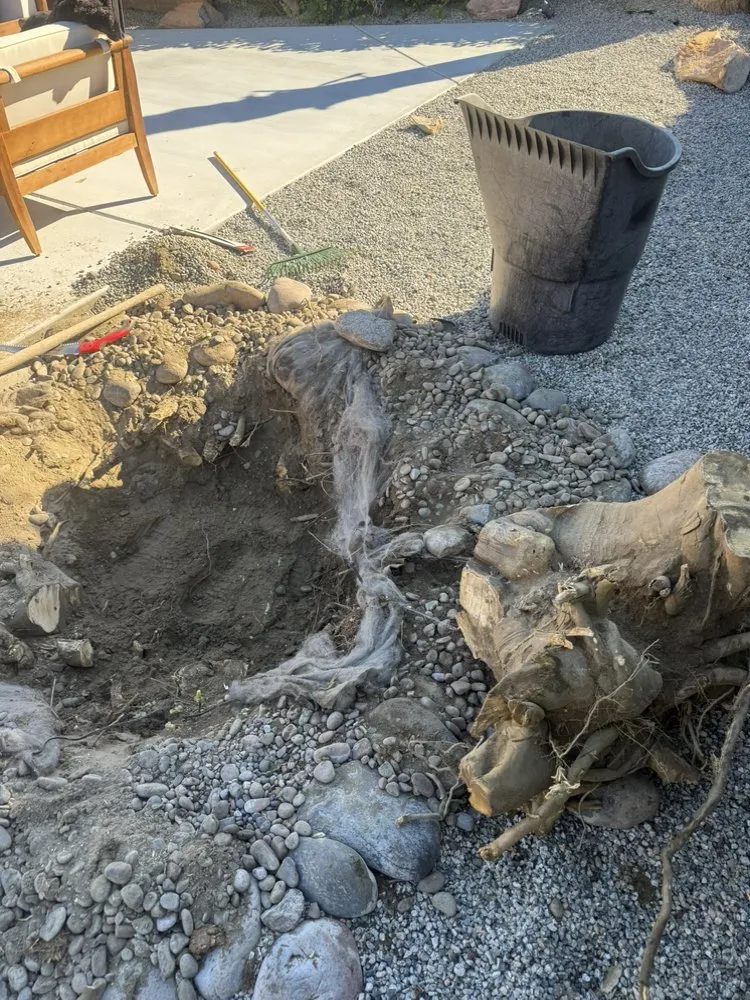 Affordable landscape design for homes in Mecca, CA by Zgza Landscaping