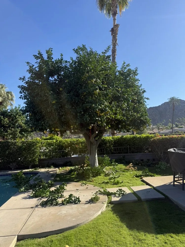 Trusted outdoor landscaping in Mecca, CA - Zgza Landscaping