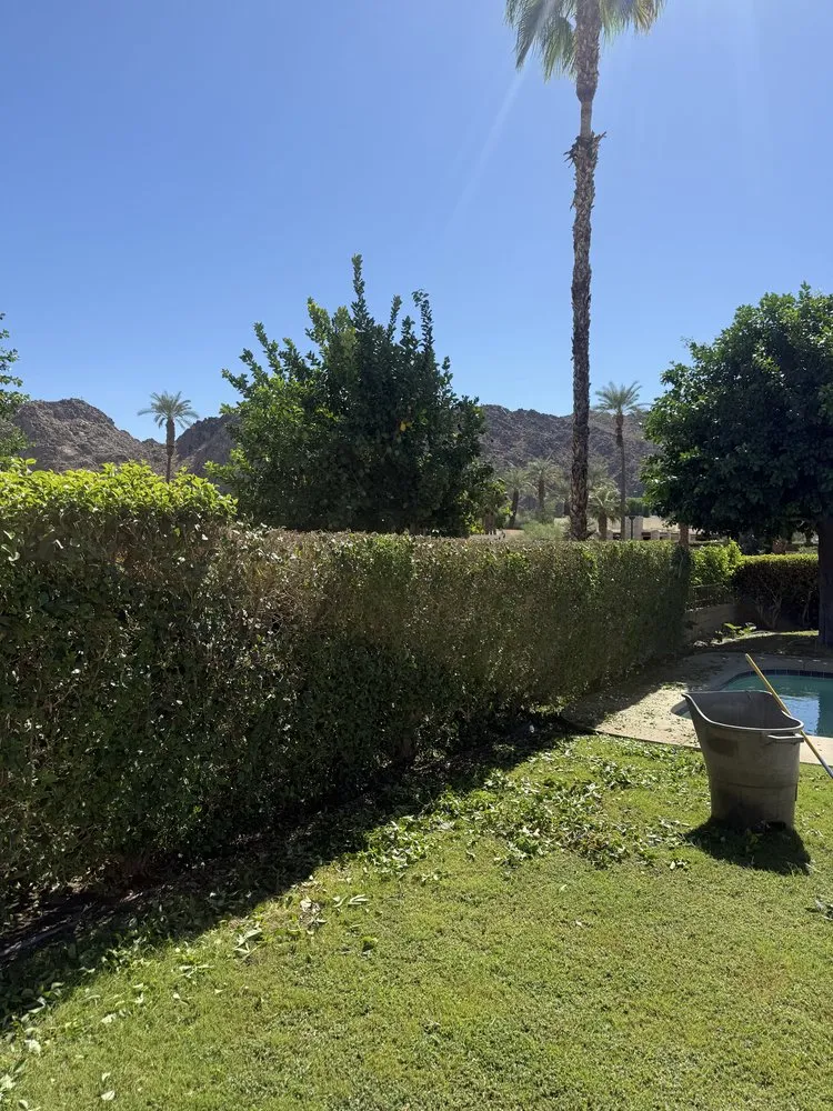 Professional lawn mowing service for outdoor upgrades in Mecca, CA by Zgza Landscaping