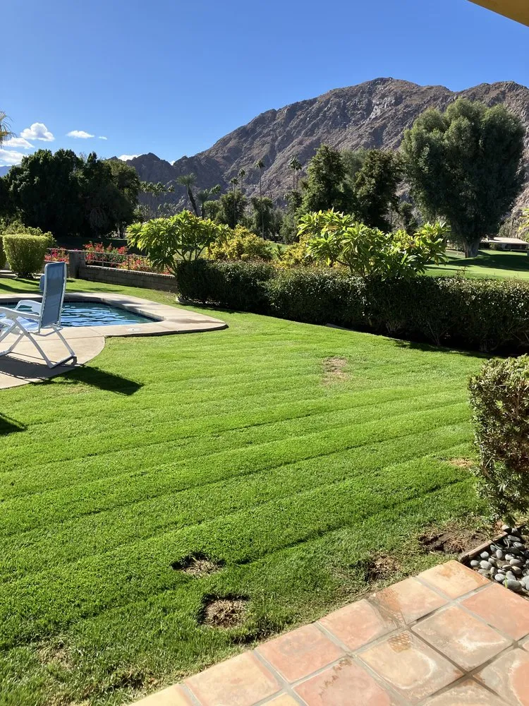 Custom lawn care service experts serving Mecca, CA - Zgza Landscaping