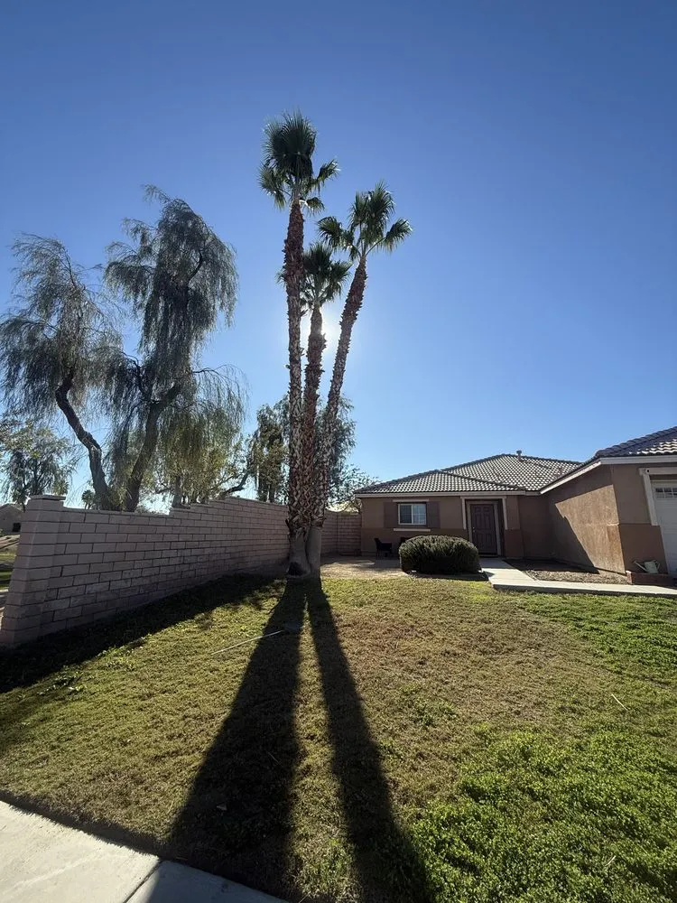 Top-rated landscape installation in Mecca, CA - Zgza Landscaping