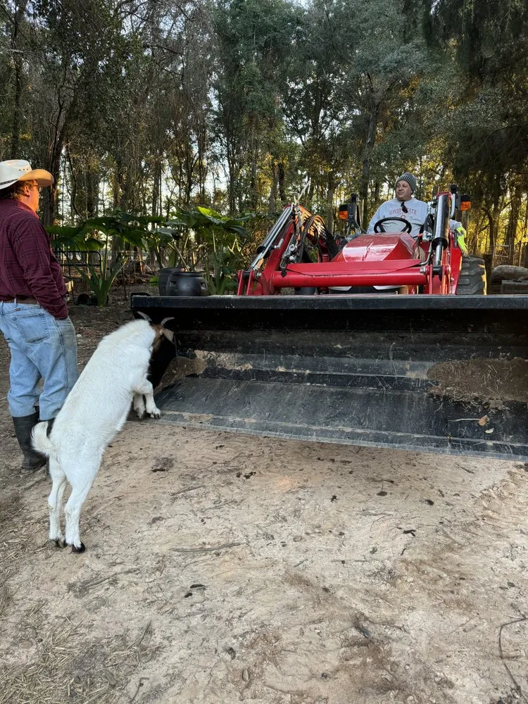 Trusted landscaping services in Milton, FL by Zi Consultants