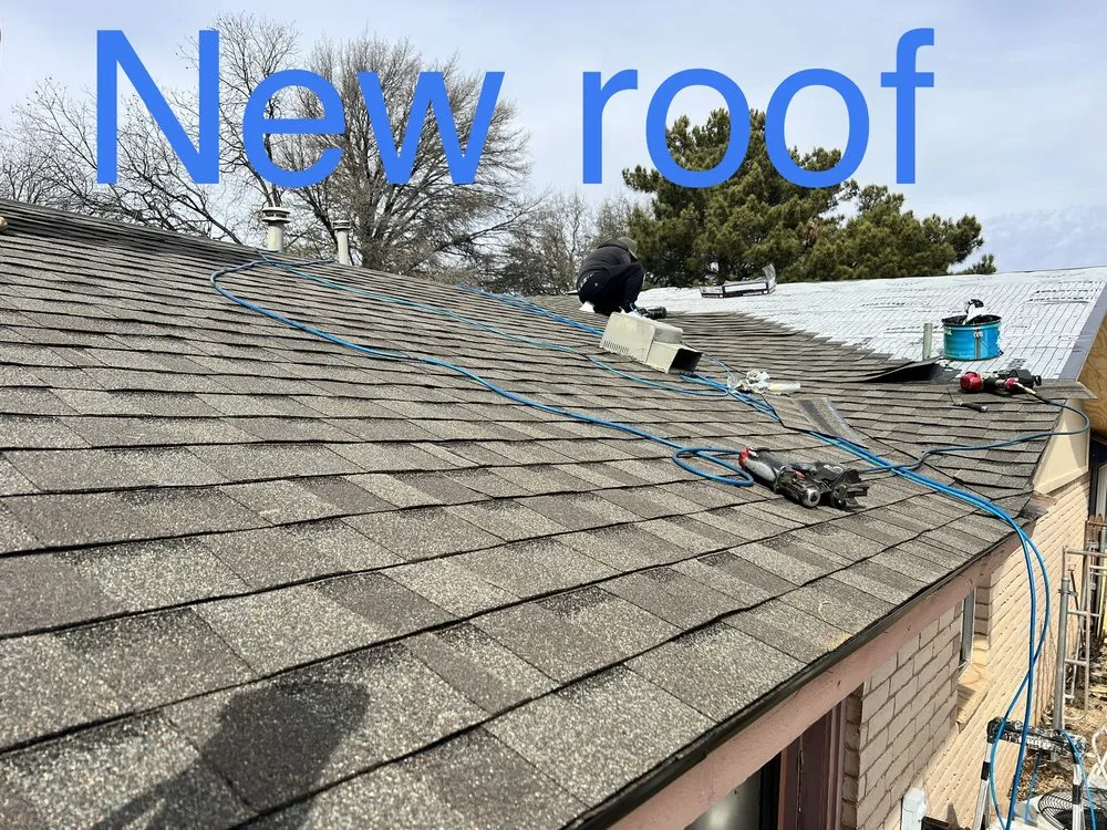 Trusted yard cleanup service in Lubbock, TX by Zia Contracting