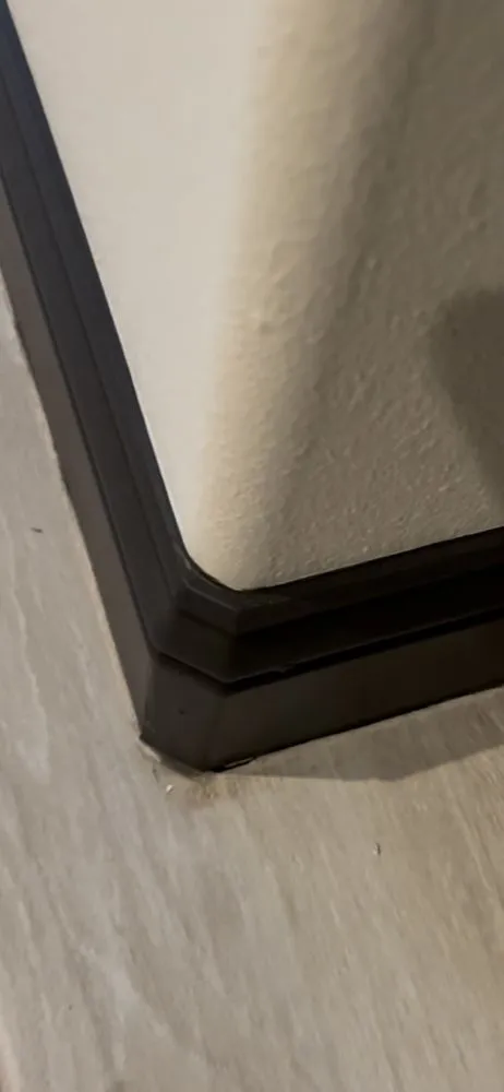 Expert yard cleanup service experts serving Lubbock, TX - Zia Contracting