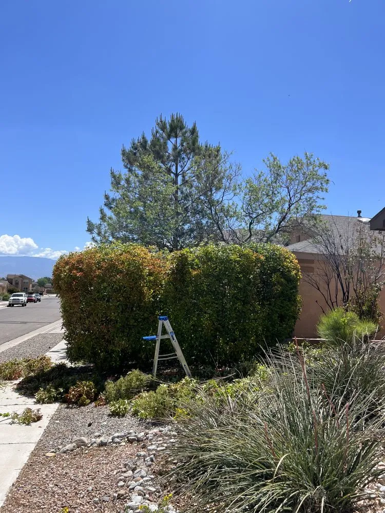 Expert garden landscaping in Albuquerque, NM by Zia pressure cleaning