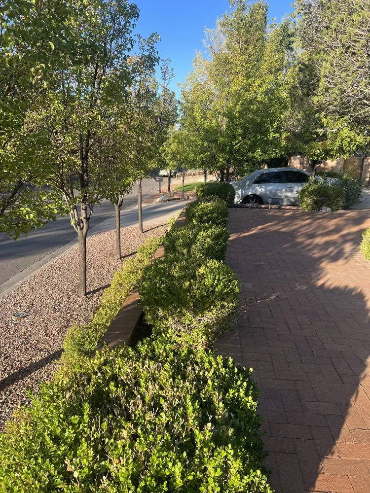 Affordable lawn mowing service for outdoor upgrades across Albuquerque, NM - Zia pressure cleaning