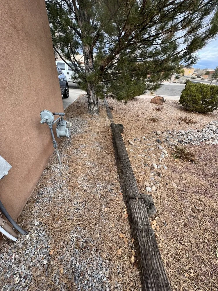 Custom landscape design for year-round maintenance in Albuquerque, NM by Zia pressure cleaning