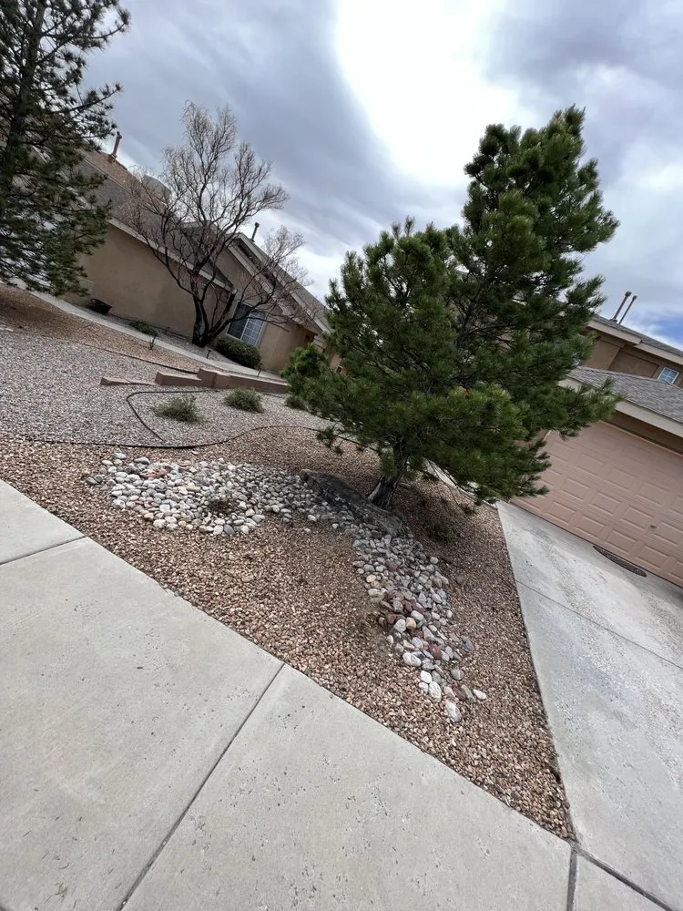 Affordable lawn care service for year-round maintenance across Albuquerque, NM - Zia pressure cleaning