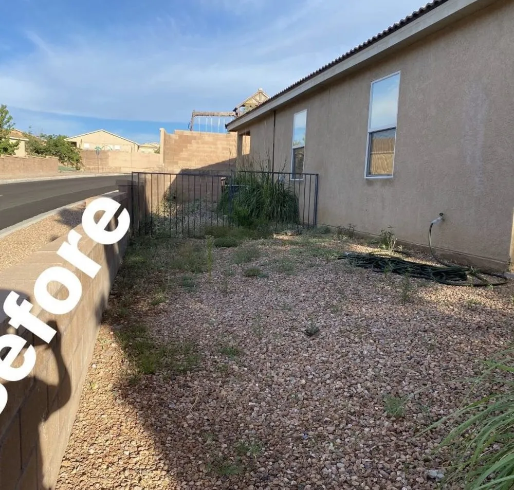 Local outdoor landscaping for beautiful yards across Albuquerque, NM - Zia pressure cleaning