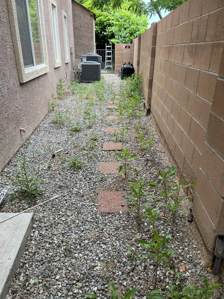 Custom garden landscaping for beautiful yards in Albuquerque, NM by Zia pressure cleaning