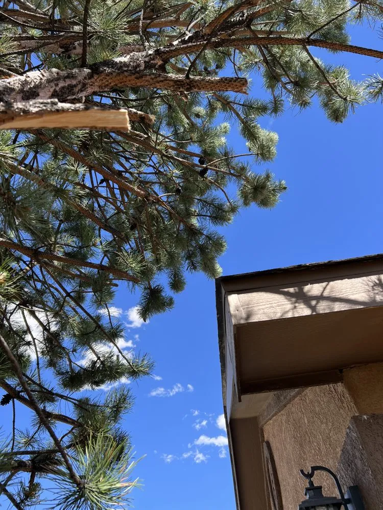 Expert lawn mowing service for beautiful yards in Albuquerque, NM by Zia pressure cleaning