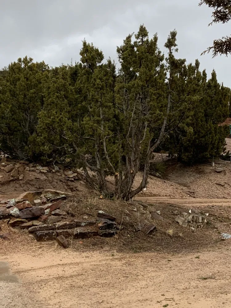 Professional landscape installation experts serving Santa Fe, NM - Zia Tree Removal & Landscape