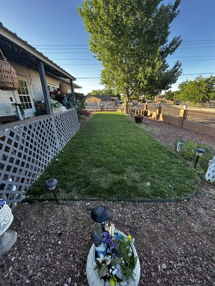 Expert lawn care service in Albuquerque, NM by ZiaLawnCare