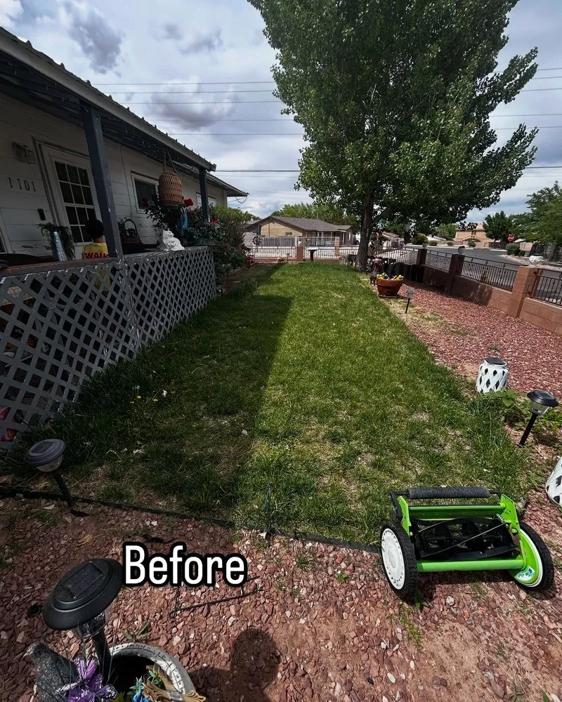 Reliable landscape design in Albuquerque, NM - ZiaLawnCare