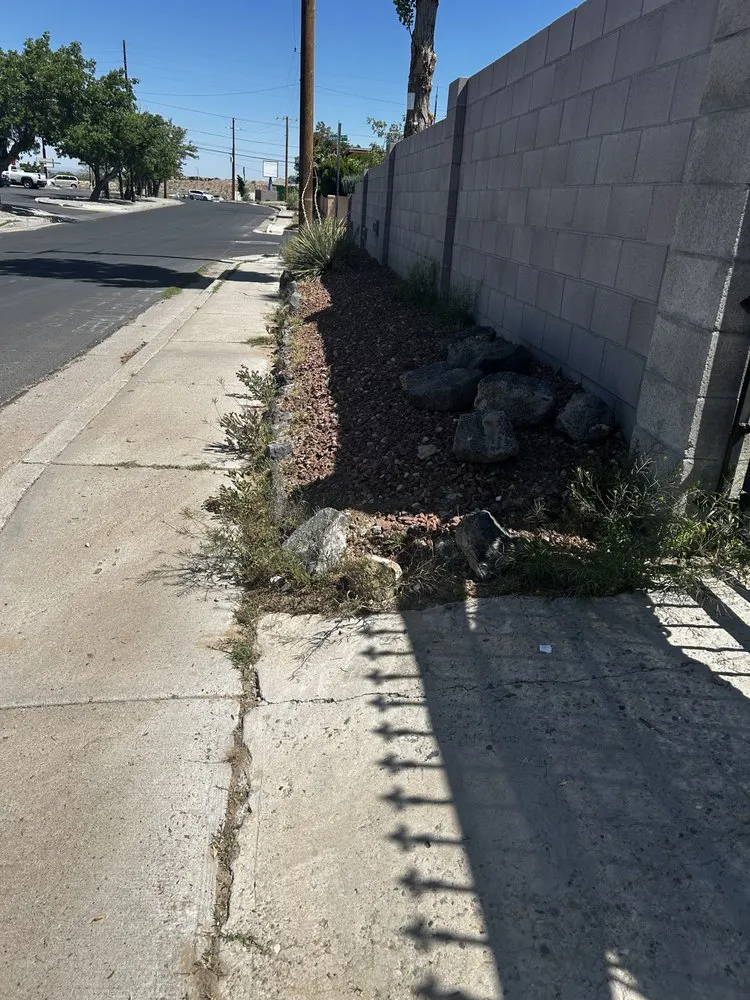 Reliable lawn care service in Albuquerque, NM - ZiaLawnCare