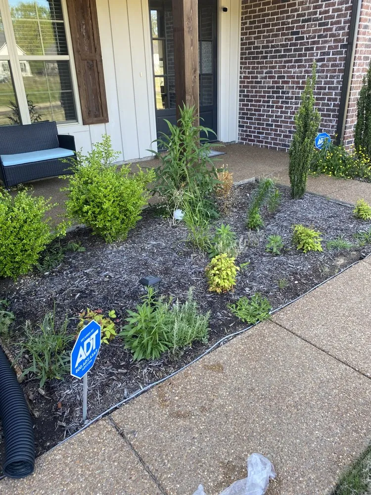 Professional lawn care service for outdoor upgrades across Southaven, MS - Zib Zib Lawn Care