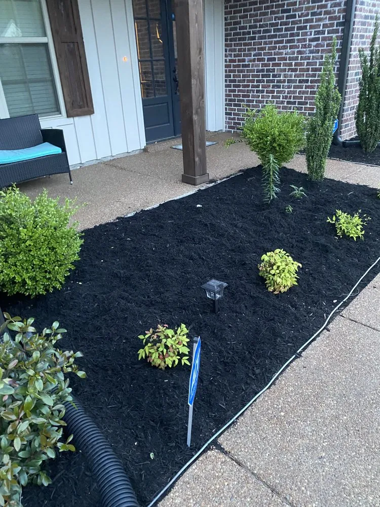 Top-rated yard cleanup service in Southaven, MS by Zib Zib Lawn Care