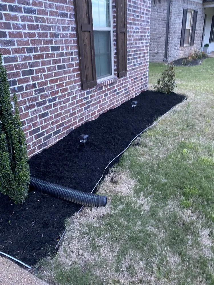 Trusted lawn care service experts serving Southaven, MS - Zib Zib Lawn Care