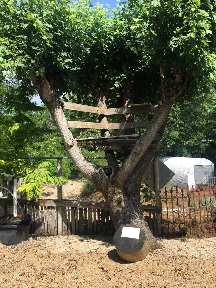 Top-rated garden landscaping near you in Ballwin, MO by Zick's Great Outdoors