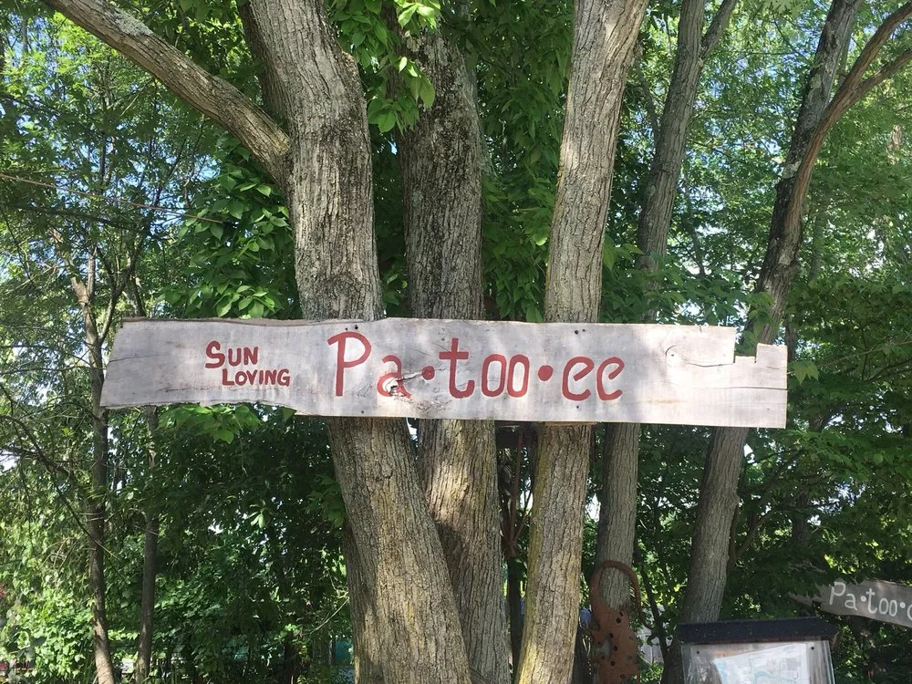 Expert lawn care service experts serving Ballwin, MO - Zick's Great Outdoors