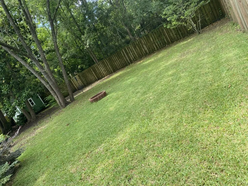 Reliable lawn mowing service in Leland, NC by Ziebol’s Lawn Care and Landscaping