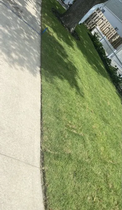 Reliable lawn mowing service experts serving Leland, NC - Ziebol’s Lawn Care and Landscaping