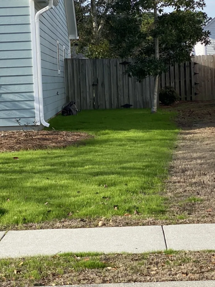 Expert yard cleanup service for residential properties in Leland, NC by Ziebol’s Lawn Care and Landscaping